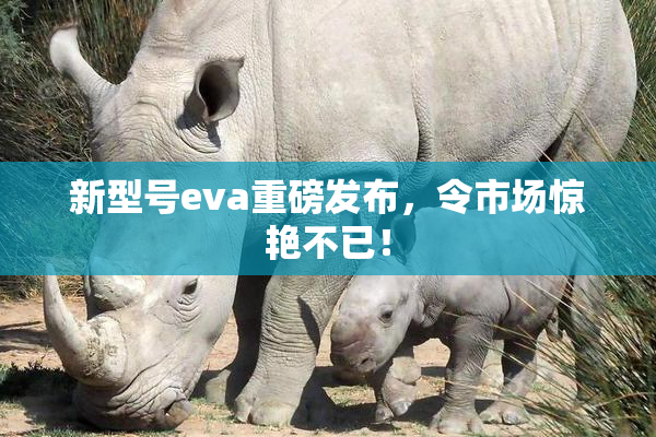 新型号eva重磅发布，令市场惊艳不已！