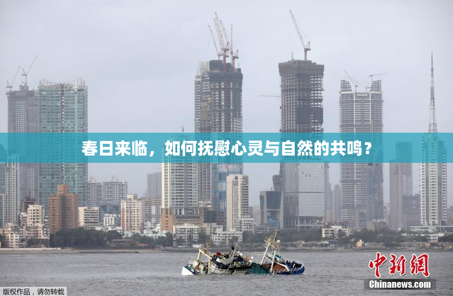 春日来临，如何抚慰心灵与自然的共鸣？