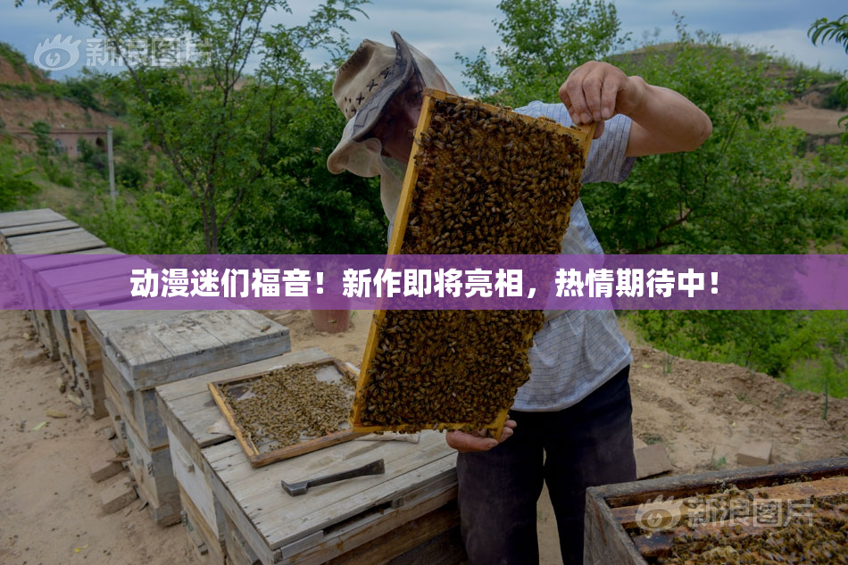 动漫迷们福音！新作即将亮相，热情期待中！