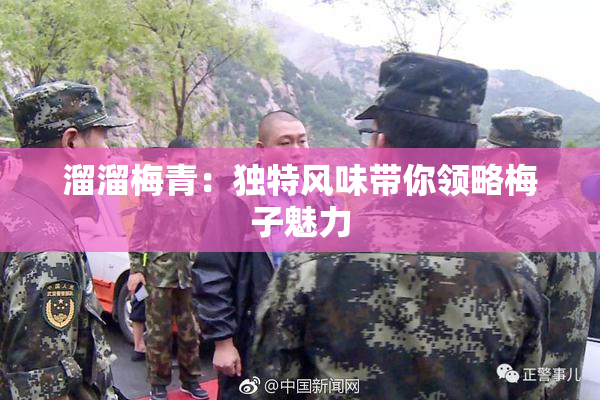 溜溜梅青：独特风味带你领略梅子魅力
