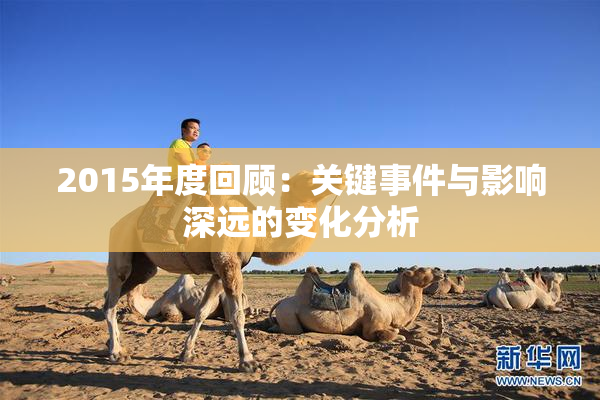 2015年度回顾：关键事件与影响深远的变化分析