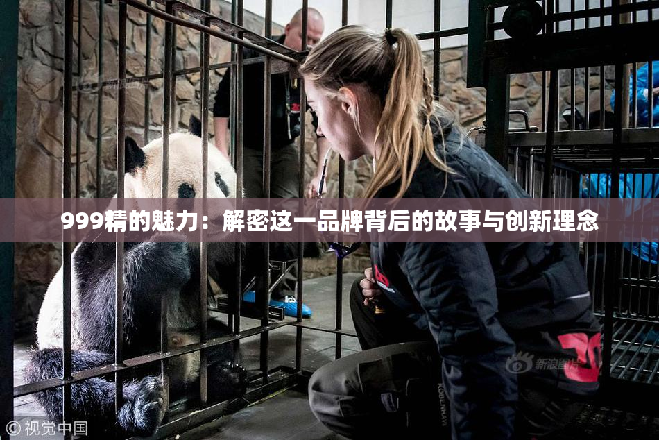 999精的魅力：解密这一品牌背后的故事与创新理念