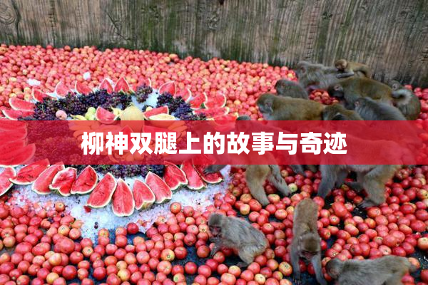 柳神双腿上的故事与奇迹