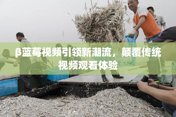 β蓝莓视频引领新潮流，颠覆传统视频观看体验