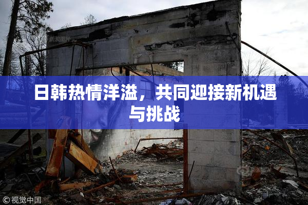日韩热情洋溢，共同迎接新机遇与挑战