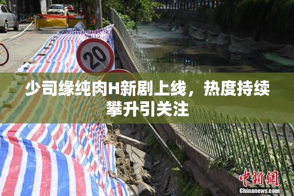 少司缘纯肉H新剧上线，热度持续攀升引关注