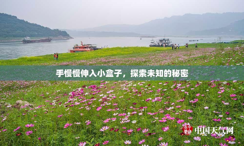 手慢慢伸入小盒子，探索未知的秘密
