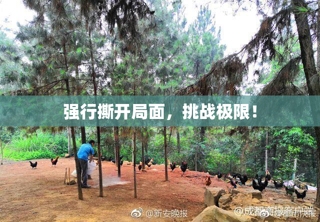 强行撕开局面，挑战极限！