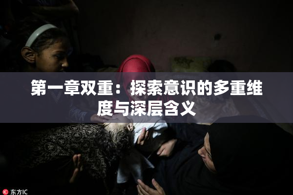 第一章双重：探索意识的多重维度与深层含义