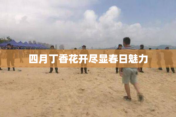 四月丁香花开尽显春日魅力