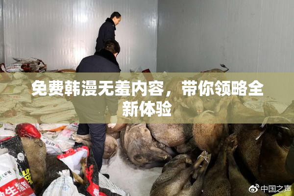 免费韩漫无羞内容，带你领略全新体验