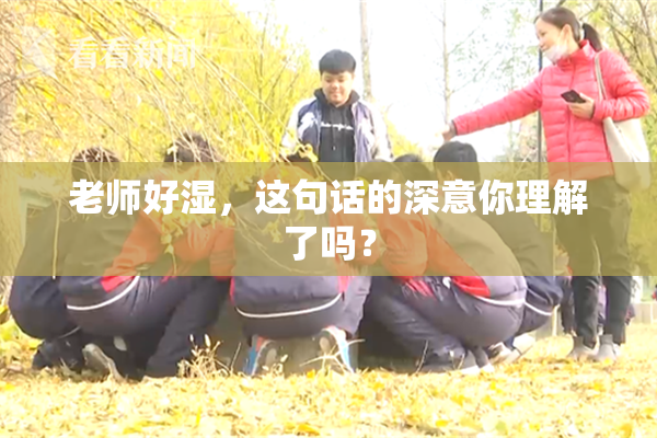 老师好湿，这句话的深意你理解了吗？