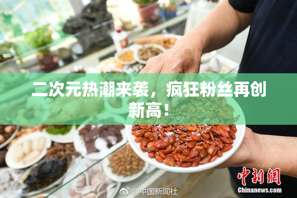 二次元热潮来袭，疯狂粉丝再创新高！