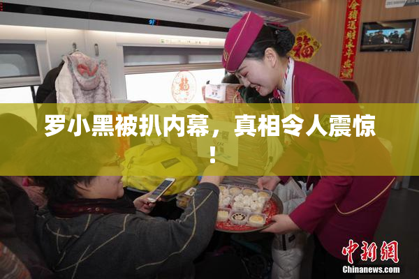 罗小黑被扒内幕，真相令人震惊！