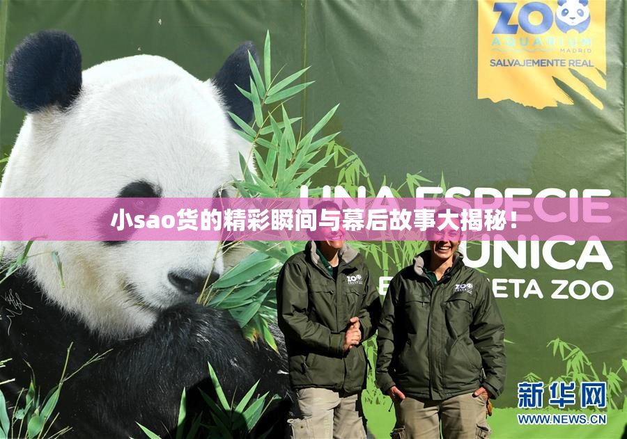小sao货的精彩瞬间与幕后故事大揭秘！