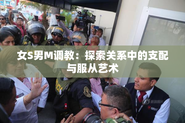 女S男M调教：探索关系中的支配与服从艺术