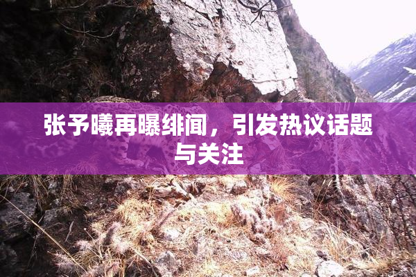 张予曦再曝绯闻，引发热议话题与关注