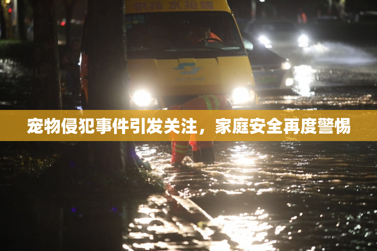 宠物侵犯事件引发关注，家庭安全再度警惕