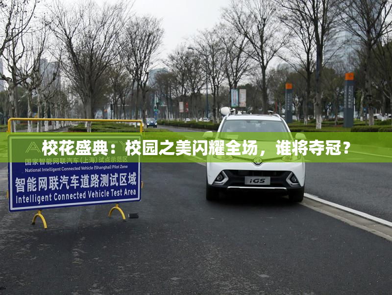 校花盛典：校园之美闪耀全场，谁将夺冠？