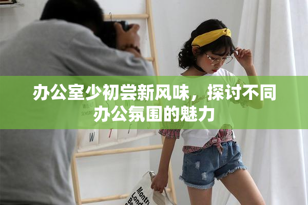 办公室少初尝新风味，探讨不同办公氛围的魅力