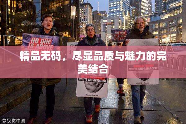 精品无码，尽显品质与魅力的完美结合