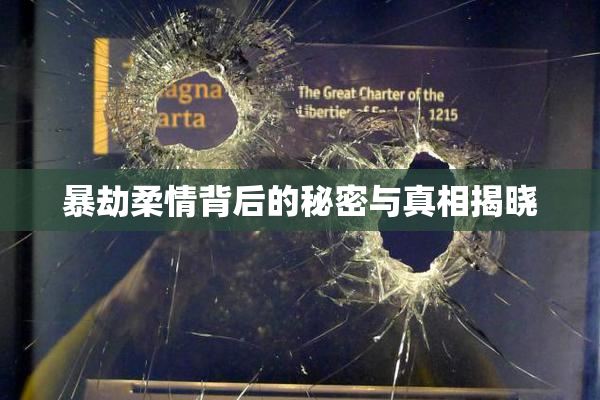 暴劫柔情背后的秘密与真相揭晓