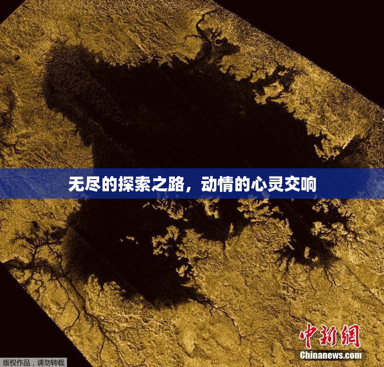 无尽的探索之路，动情的心灵交响