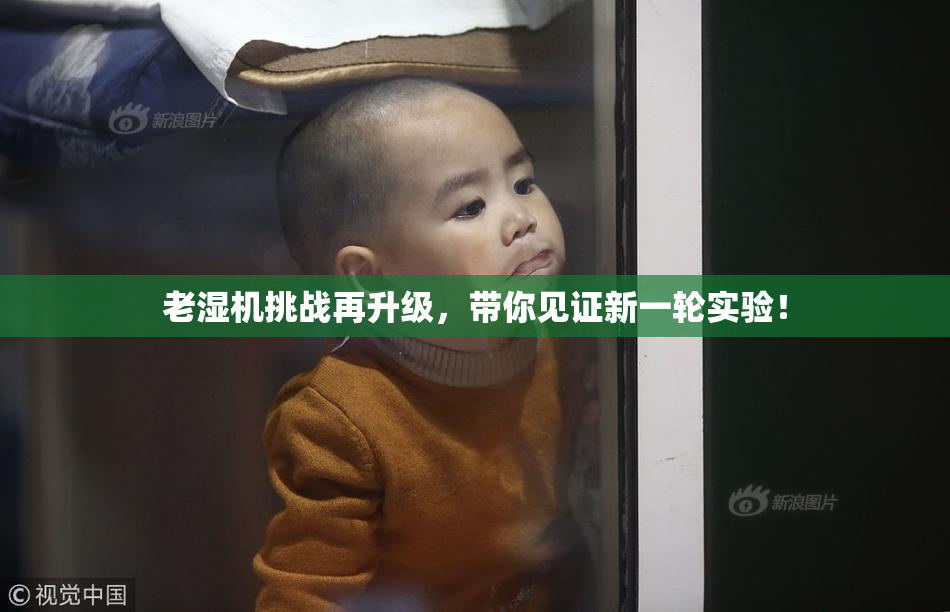 老湿机挑战再升级，带你见证新一轮实验！