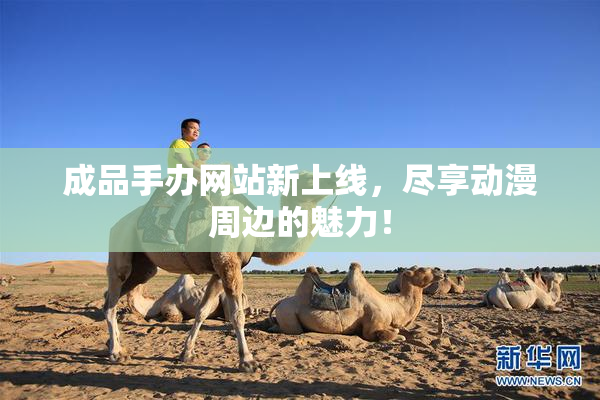 成品手办网站新上线，尽享动漫周边的魅力！