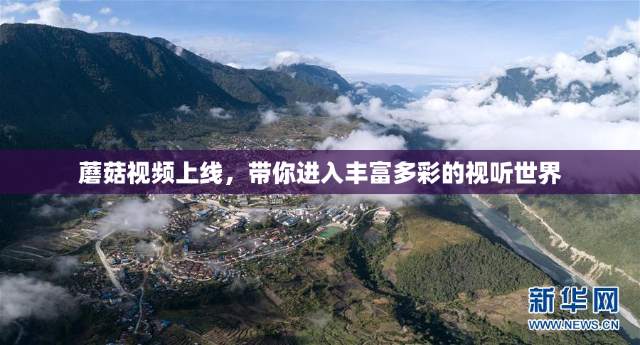 蘑菇视频上线，带你进入丰富多彩的视听世界