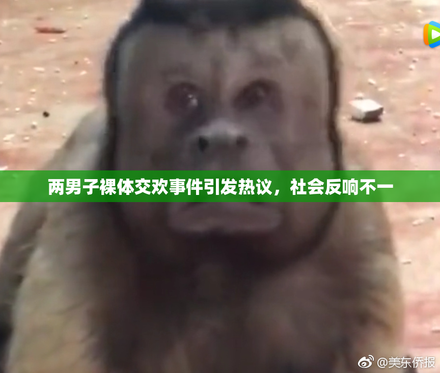 两男子裸体交欢事件引发热议，社会反响不一
