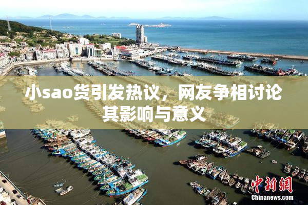 小sao货引发热议，网友争相讨论其影响与意义