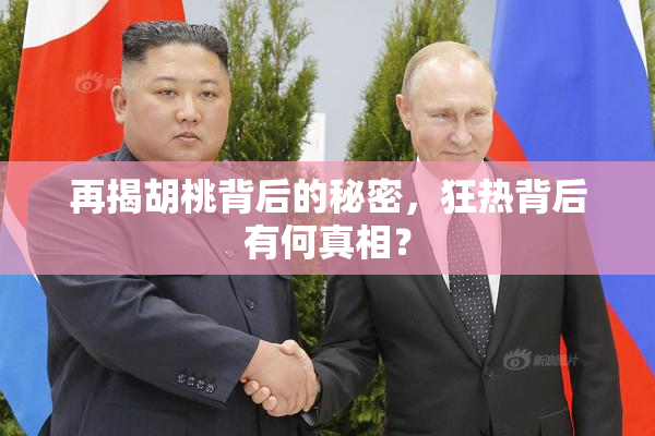 再揭胡桃背后的秘密，狂热背后有何真相？