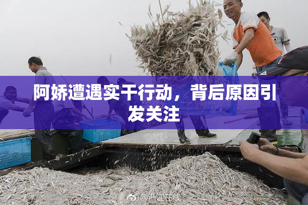 阿娇遭遇实干行动，背后原因引发关注