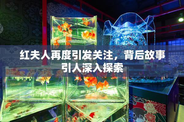 红夫人再度引发关注，背后故事引人深入探索