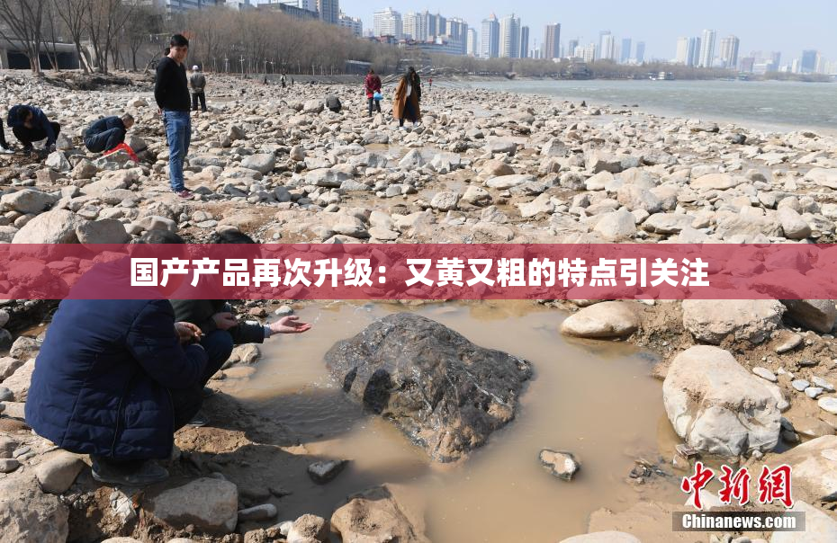 国产产品再次升级：又黄又粗的特点引关注