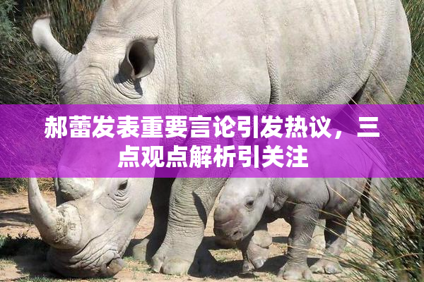 郝蕾发表重要言论引发热议，三点观点解析引关注