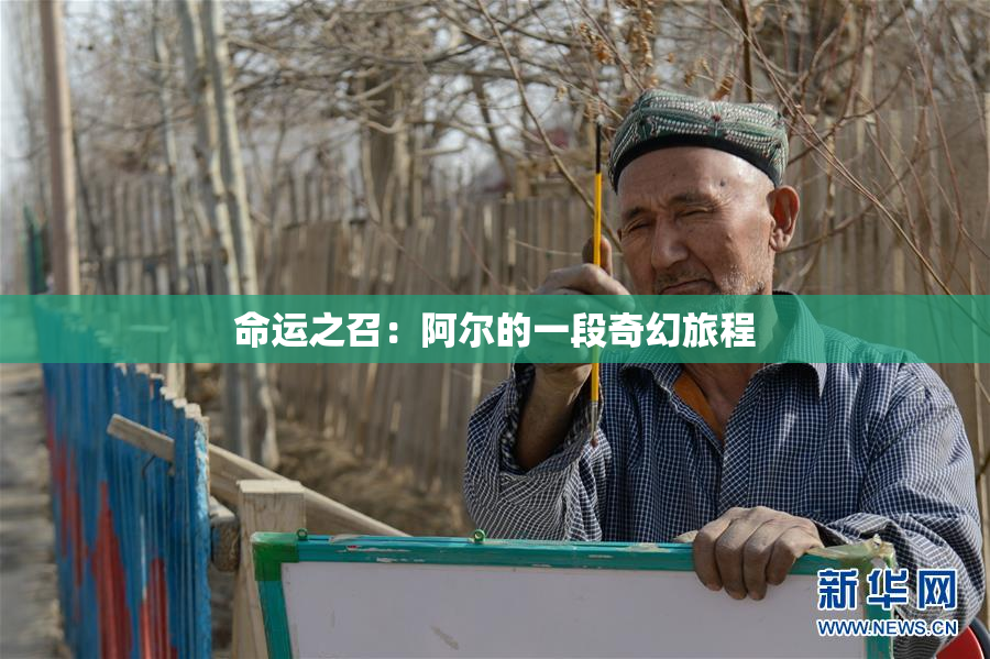 命运之召：阿尔的一段奇幻旅程