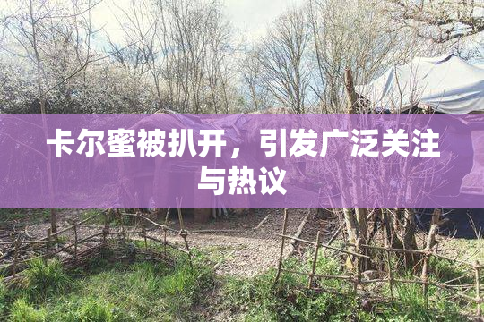 卡尔蜜被扒开，引发广泛关注与热议