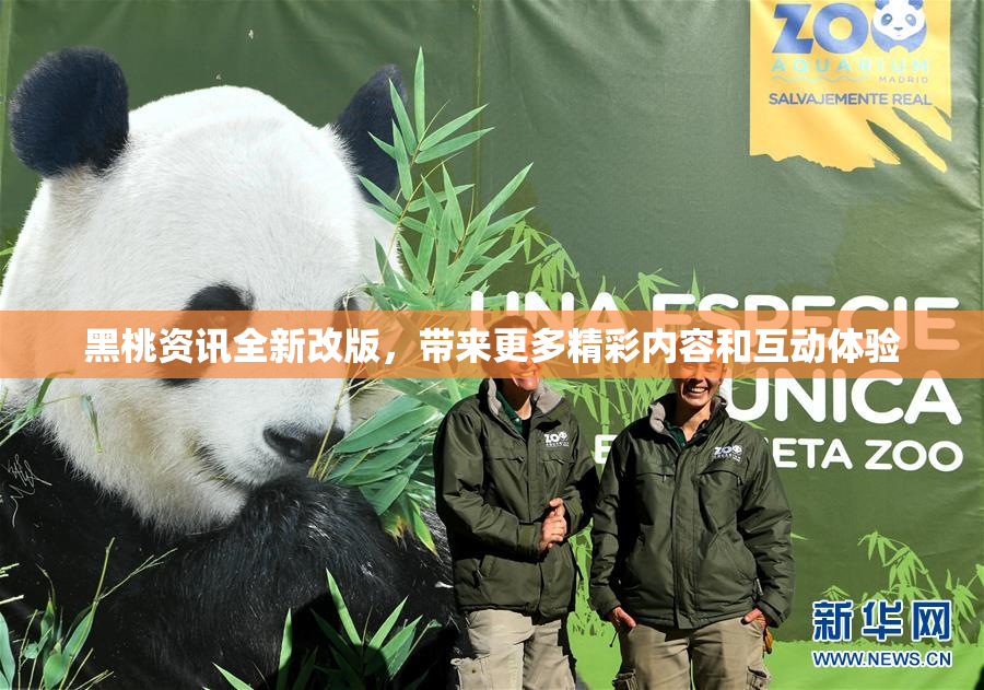 黑桃资讯全新改版，带来更多精彩内容和互动体验