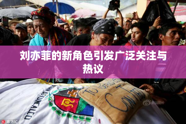 刘亦菲的新角色引发广泛关注与热议