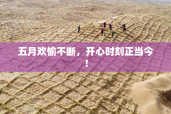 五月欢愉不断，开心时刻正当今！