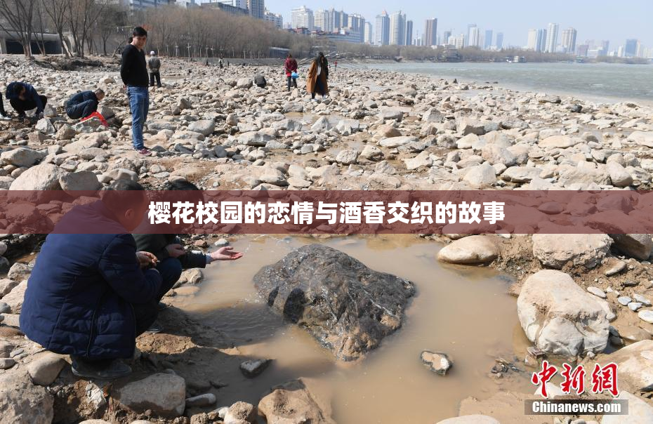樱花校园的恋情与酒香交织的故事