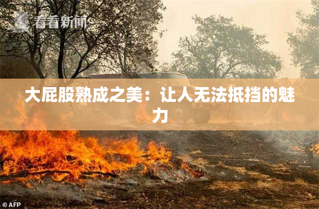 大屁股熟成之美：让人无法抵挡的魅力