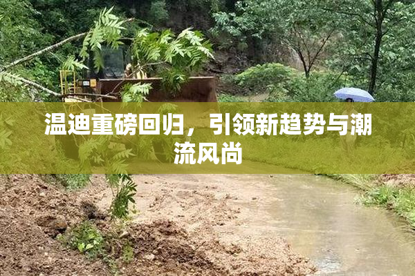 温迪重磅回归，引领新趋势与潮流风尚