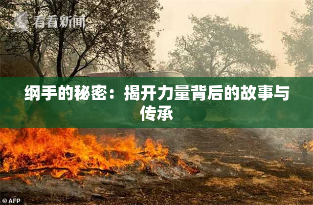 纲手的秘密：揭开力量背后的故事与传承