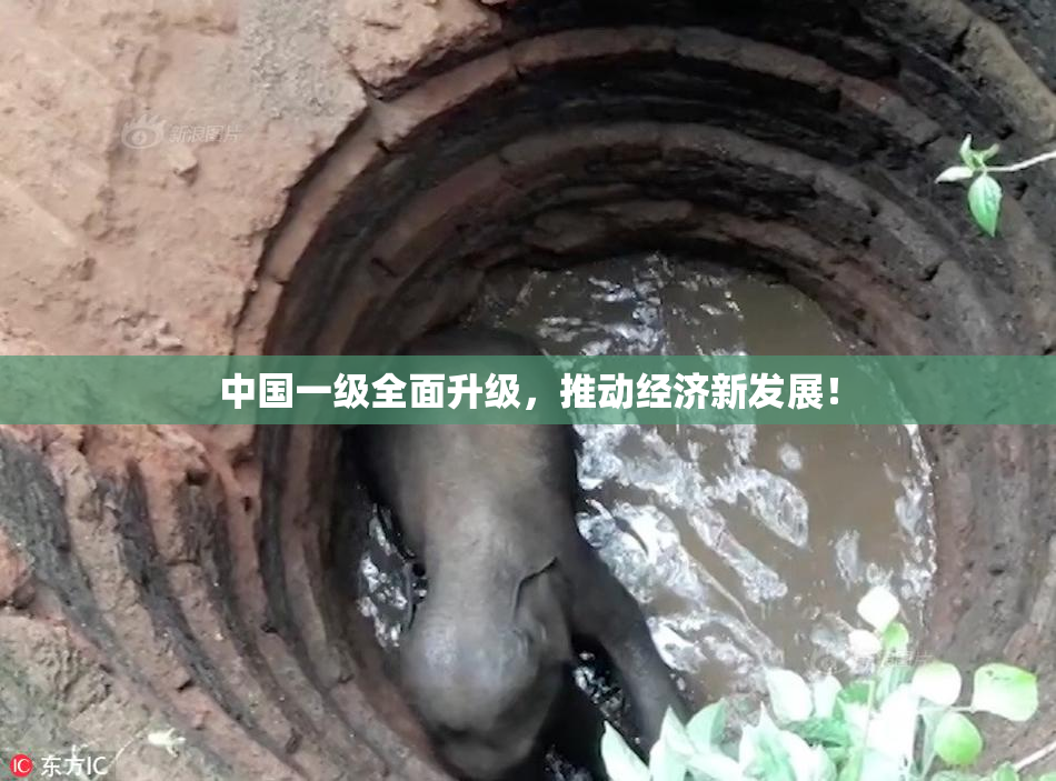 中国一级全面升级，推动经济新发展！
