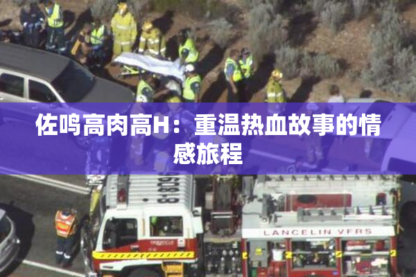 佐鸣高肉高H：重温热血故事的情感旅程