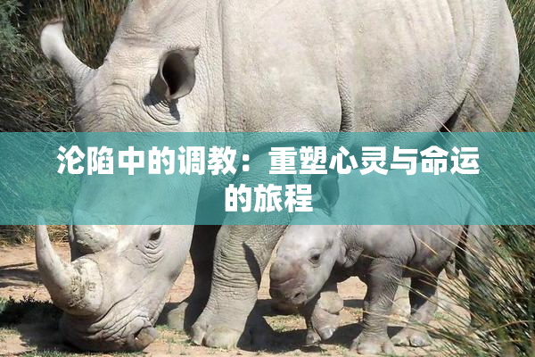 沦陷中的调教：重塑心灵与命运的旅程