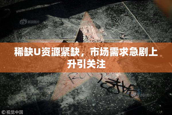 稀缺U资源紧缺，市场需求急剧上升引关注